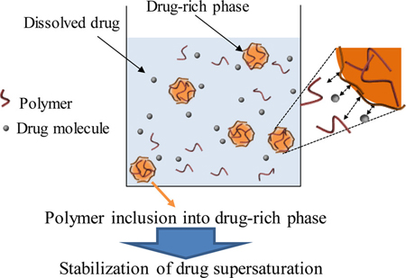 graphical abstract